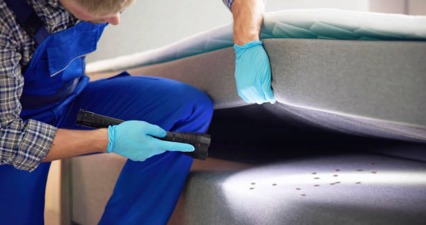 Best Wasp Removal Services  in Niagara University, NY