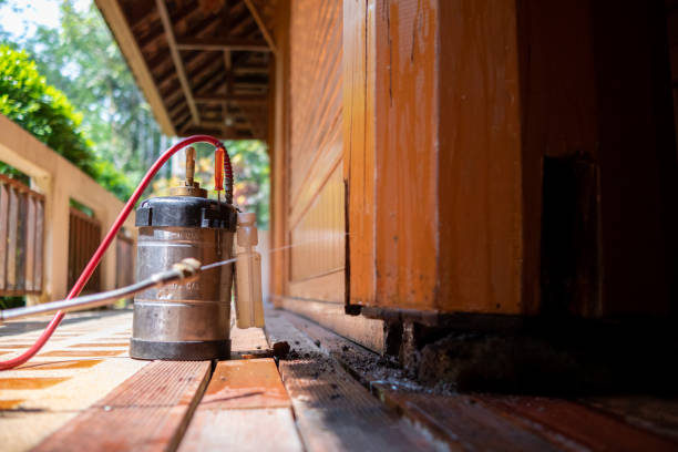 Best Pest Control for Homes  in Niagara University, NY