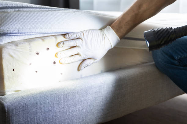 Best Pest Prevention Services  in Niagara University, NY