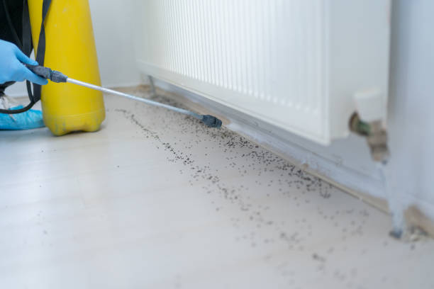Best Pest Removal Services  in Niagara University, NY