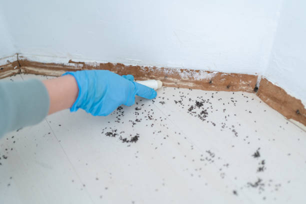 Trusted Niagara University, NY Pest Control Experts