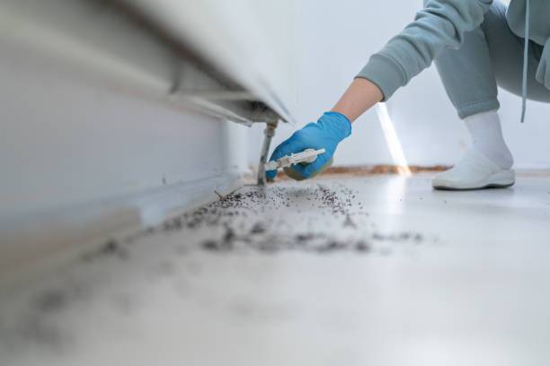 Best Cockroach Control Services  in Niagara University, NY