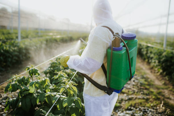 Best Emergency Pest Control  in Niagara University, NY